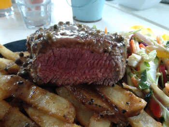 Airlie Beach Party Bus - Tourism Canberra 4