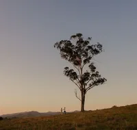Faulls Ridge Winery - Tourism Canberra