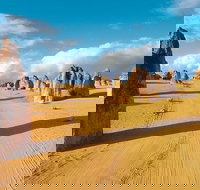 Pinnacles Desert Koalas and Sandboarding 4WD Day Tour from Perth - Tourism Canberra