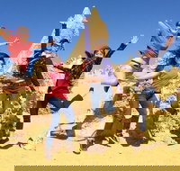 Pinnacles and Swan Valley Day Trip from Perth Including Caversham Wildlife Park Vineyard Lunch Pinnacles and Sandboarding - Tourism Canberra