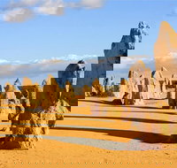 Pinnacles and Yanchep National Park Day Trip from Perth Including Lobster Shack Lunch and Sandboarding - Tourism Canberra