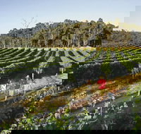 Margaret River Caves Wine and Cape Leeuwin Lighthouse Tour from Perth - Tourism Canberra