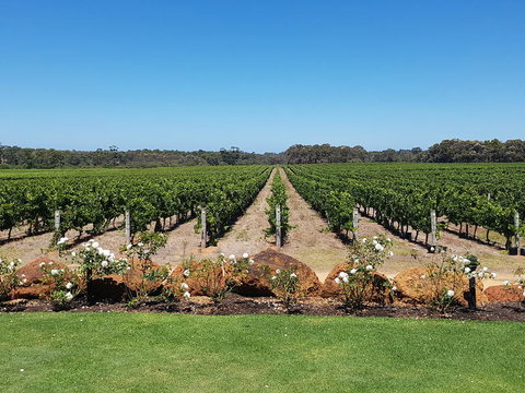 Margaret River Food, Wine & Sightseeing Tour From Perth - Tourism Canberra 5