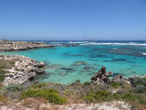 Rottnest Island Tour From Perth Or Fremantle Including Adventure Speed Boat Ride - Tourism Canberra 3