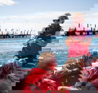 Rottnest Island Tour from Perth or Fremantle including Adventure Speed Boat Ride - Tourism Canberra