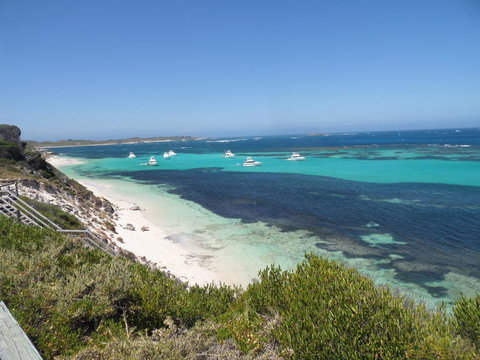 Rottnest Island Tour From Perth Or Fremantle Including Adventure Speed Boat Ride - Tourism Canberra 2