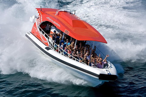 Rottnest Island Tour From Perth Or Fremantle Including Adventure Speed Boat Ride - Tourism Canberra 11
