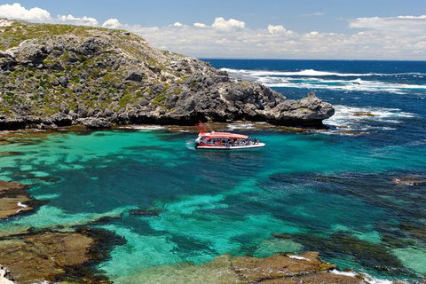 Rottnest Island Tour From Perth Or Fremantle Including Adventure Speed Boat Ride - Tourism Canberra 10