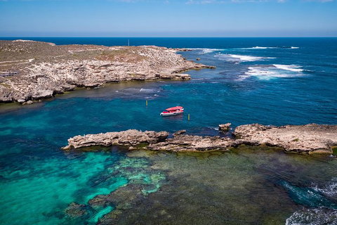 Rottnest Island Tour From Perth Or Fremantle Including Adventure Speed Boat Ride - Tourism Canberra 13