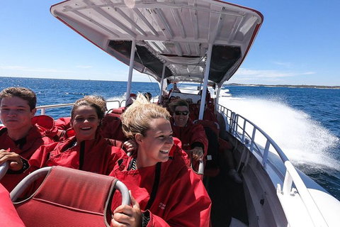 Rottnest Island Tour From Perth Or Fremantle Including Adventure Speed Boat Ride - Tourism Canberra 8