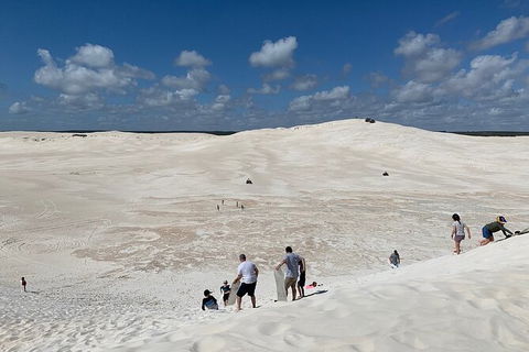 Pinnacles Day Trip From Perth Including Yanchep National Park - Tourism Canberra 3