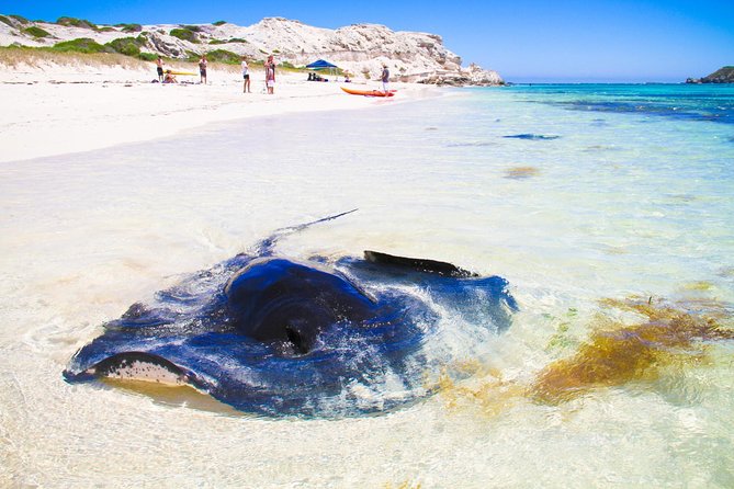 Margaret River WA Tourism Canberra