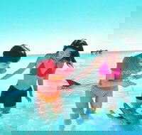 Monkey Mia Dolphins  Shark Bay Air Tour From Perth - Tourism Canberra