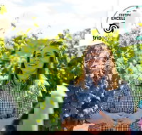 Swan Valley Wine Adventure - Half Day Premium Boutique Winery Tour - Tourism Canberra