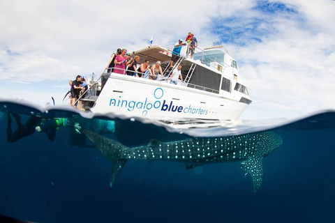 VIP Luxury Chartered Escapes, Exploring The Reef At Your Own Pace - Tourism Canberra 0