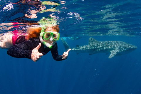 VIP Luxury Chartered Escapes, Exploring The Reef At Your Own Pace - Tourism Canberra 20