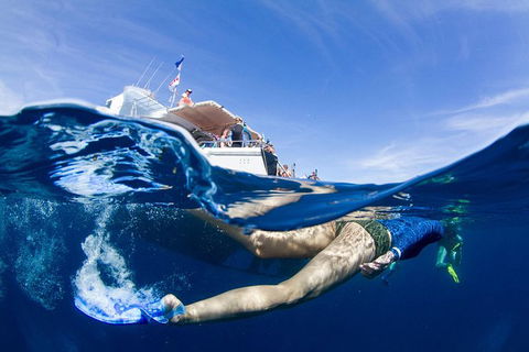 VIP Luxury Chartered Escapes, Exploring The Reef At Your Own Pace - Tourism Canberra 40