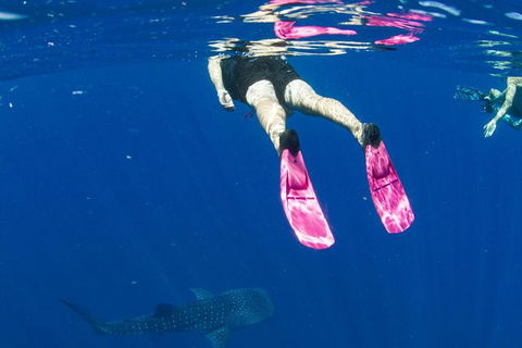 VIP Luxury Chartered Escapes, Exploring The Reef At Your Own Pace - Tourism Canberra 49