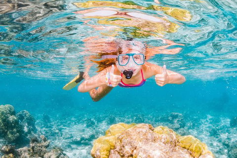VIP Luxury Chartered Escapes, Exploring The Reef At Your Own Pace - Tourism Canberra 48