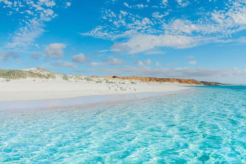 VIP Luxury Chartered Escapes, Exploring The Reef At Your Own Pace - Tourism Canberra 36