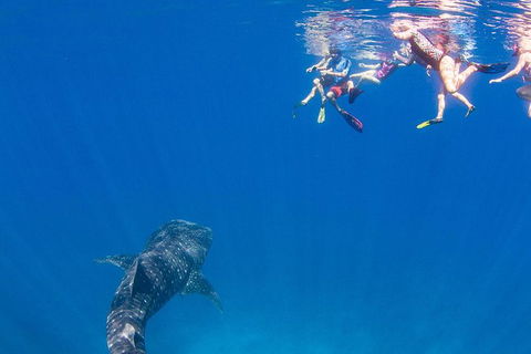 VIP Luxury Chartered Escapes, Exploring The Reef At Your Own Pace - Tourism Canberra 22