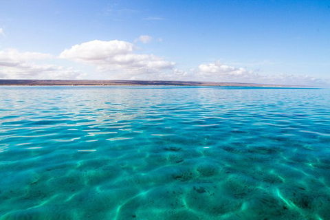 VIP Luxury Chartered Escapes, Exploring The Reef At Your Own Pace - Tourism Canberra 32