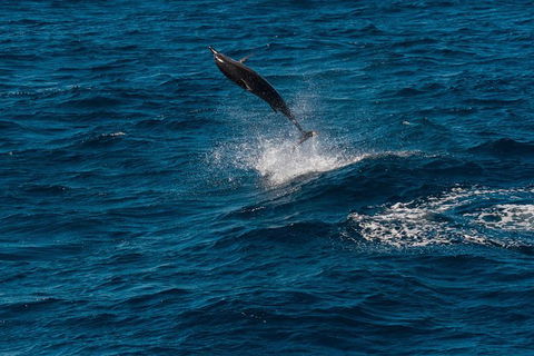 VIP Luxury Chartered Escapes, Exploring The Reef At Your Own Pace - Tourism Canberra 42