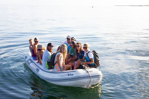 VIP Luxury Chartered Escapes, Exploring The Reef At Your Own Pace - Tourism Canberra 43