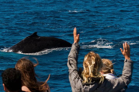 VIP Luxury Chartered Escapes, Exploring The Reef At Your Own Pace - Tourism Canberra 21