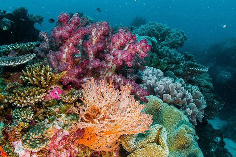 VIP Luxury Chartered Escapes, Exploring The Reef At Your Own Pace - Tourism Canberra 33