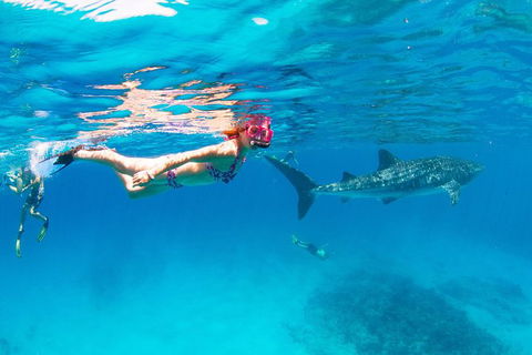 VIP Luxury Chartered Escapes, Exploring The Reef At Your Own Pace - Tourism Canberra 35