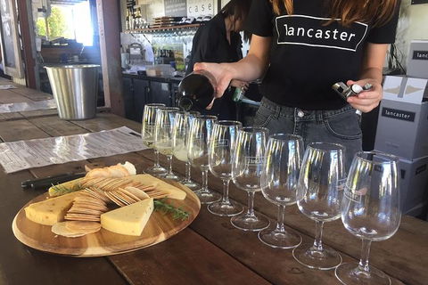 Half Day Swan Valley Wine Tour - Tourism Canberra 1