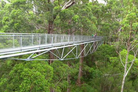 Albany Southwest Wilderness Day Tour - Fly From Perth - Tourism Canberra 2