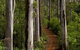 Albany Southwest Wilderness Day Tour - Fly From Perth - thumb 6