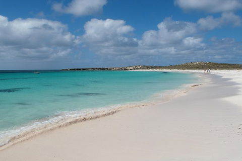 Pink Lake And Abrolhos Full Day Fly And Flipper - Tourism Canberra 0
