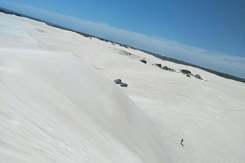 Yanchep & Lancelin - Wildlife, Cave And Sands - Tourism Canberra 3