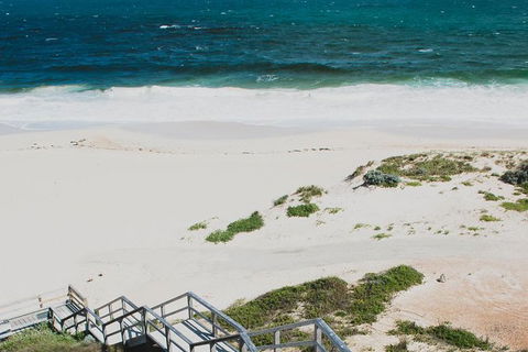 Yanchep & Lancelin - Wildlife, Cave And Sands - Tourism Canberra 4