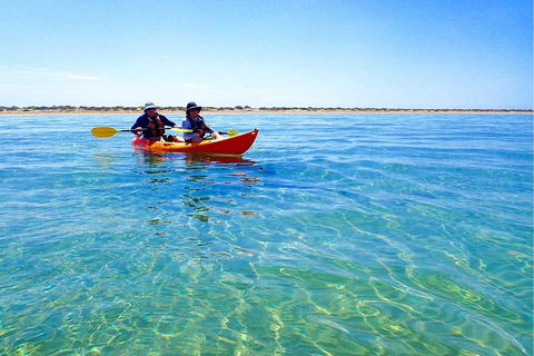 Turtle Tour - Ningaloo Reef Half Day Sea Kayak And Snorkel Tour - Tourism Canberra 0