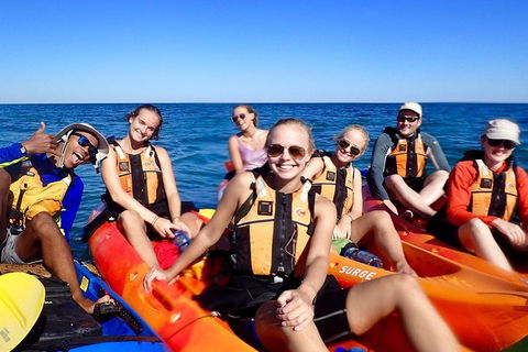 Turtle Tour - Ningaloo Reef Half Day Sea Kayak And Snorkel Tour - Tourism Canberra 5