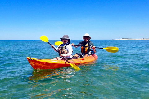 Turtle Tour - Ningaloo Reef Half Day Sea Kayak And Snorkel Tour - Tourism Canberra 7