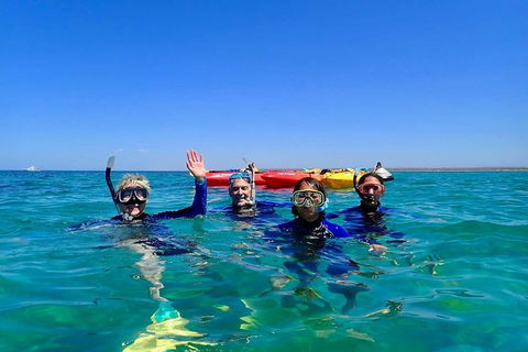 Turtle Tour - Ningaloo Reef Half Day Sea Kayak And Snorkel Tour - Tourism Canberra 9