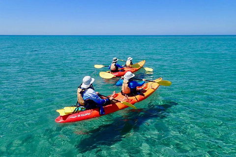 Turtle Tour - Ningaloo Reef Half Day Sea Kayak And Snorkel Tour - Tourism Canberra 6