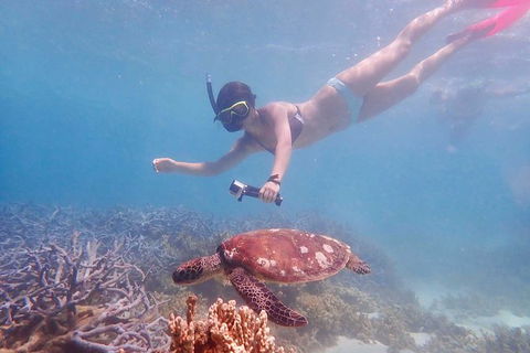 Turtle Tour - Ningaloo Reef Half Day Sea Kayak And Snorkel Tour - Tourism Canberra 8