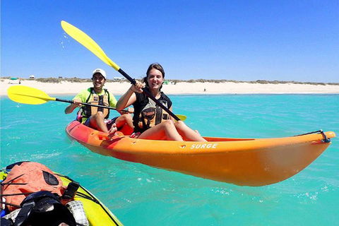 Turtle Tour - Ningaloo Reef Half Day Sea Kayak And Snorkel Tour - Tourism Canberra 3