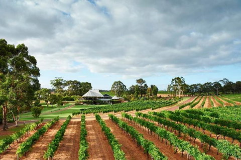 Vasse Felix Winery Tour And Tasting - Tourism Canberra 0