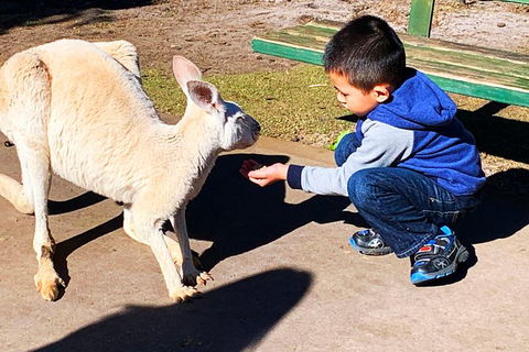 Perth Kids Explorer (Private) Day Tour - Tourism Canberra 8