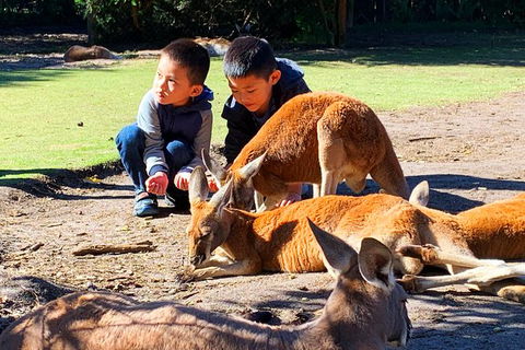 Perth Kids Explorer (Private) Day Tour - Tourism Canberra 4