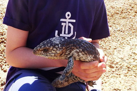 Perth Kids Explorer (Private) Day Tour - Tourism Canberra 13