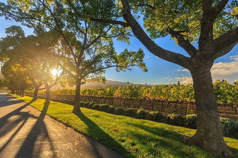 VIP Swan Valley Wine Tour - Premium Small Group Wine & Gourmet Experience - Tourism Canberra 1