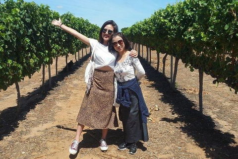 VIP Swan Valley Wine Tour - Premium Small Group Wine & Gourmet Experience - Tourism Canberra 3